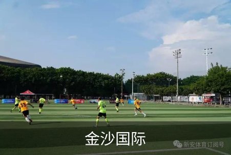 关于金沙国际